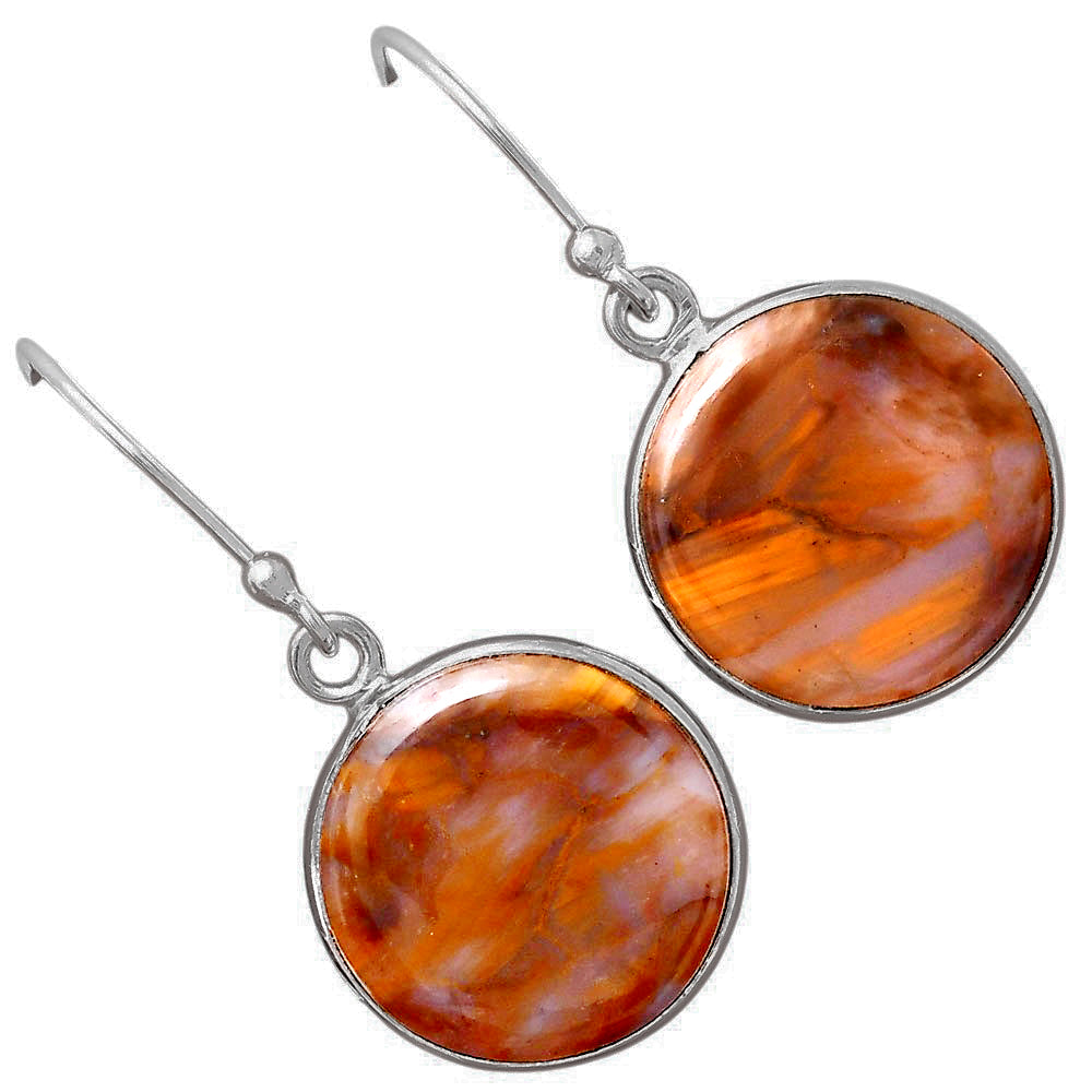 Natural Pietersite - Namibia Earrings E-1001 SDE88408