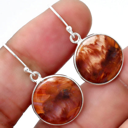 Natural Pietersite - Namibia Earrings E-1001 SDE88413