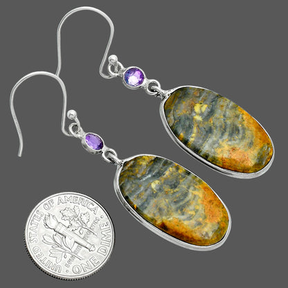 Natural Eclipse & Amethyst Earrings E-1002 SDE88688