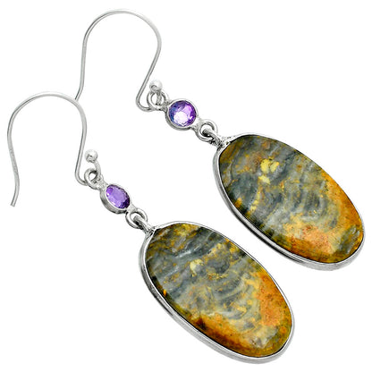 Natural Eclipse & Amethyst Earrings E-1002 SDE88688