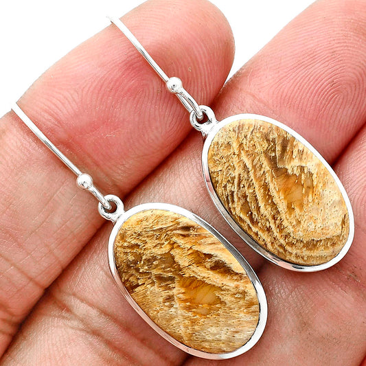 Natural Palm Root Fossil Agate Earrings E-1004 SDE88867