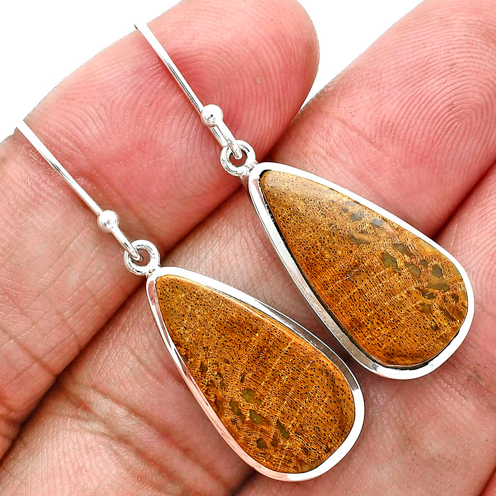 Natural Palm Root Fossil Agate Earrings E-1004 SDE88889