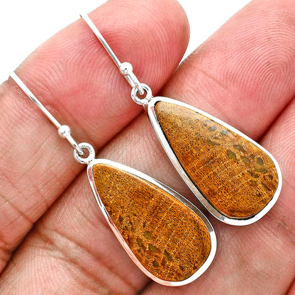 Natural Palm Root Fossil Agate Earrings E-1004 SDE88889