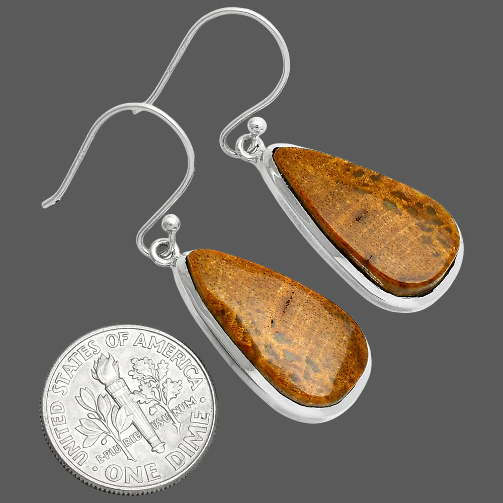 Natural Palm Root Fossil Agate Earrings E-1004 SDE88889