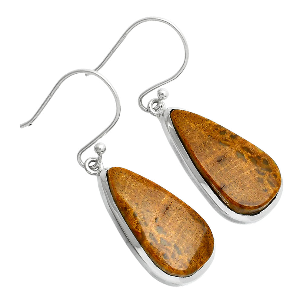 Natural Palm Root Fossil Agate Earrings E-1004 SDE88889