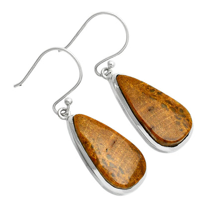 Natural Palm Root Fossil Agate Earrings E-1004 SDE88889