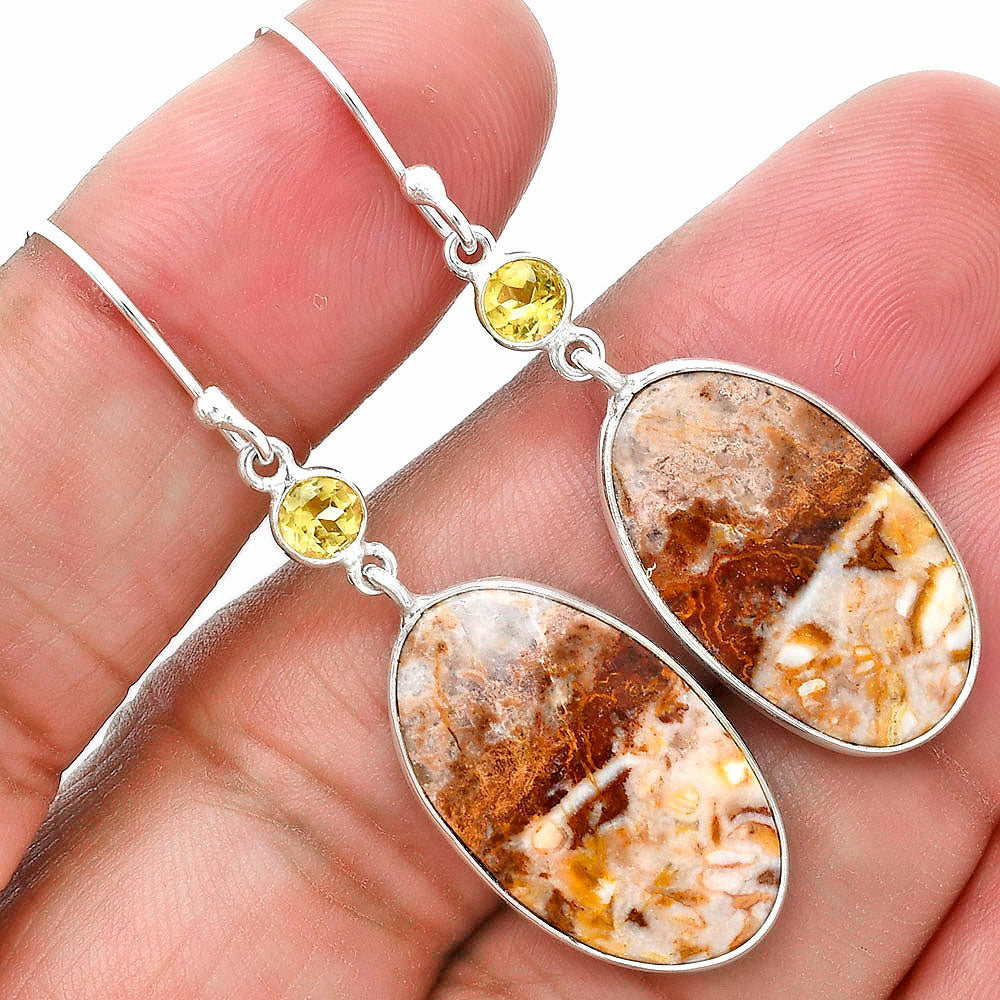 Rosetta Picture Jasper & Citrine Earrings E-1002 SDE89116