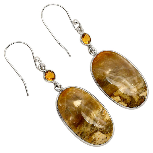Palm Root Fossil Agate and Citrine Earrings E-1002 SDE90207