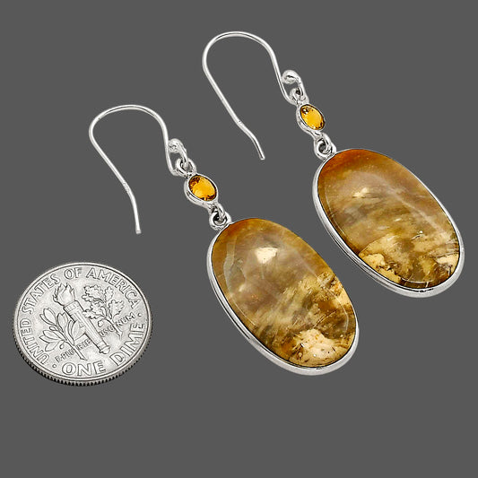 Palm Root Fossil Agate and Citrine Earrings E-1002 SDE90207