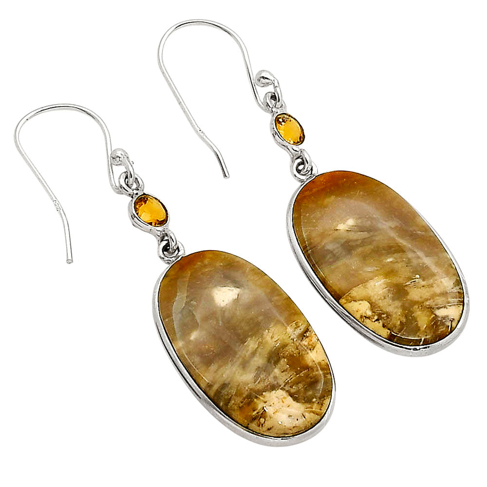 Palm Root Fossil Agate and Citrine Earrings E-1002 SDE90207