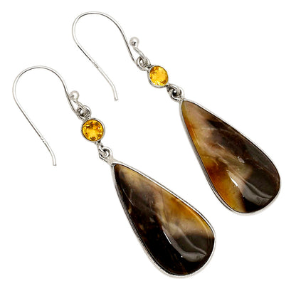 Palm Root Fossil Agate and Citrine Earrings E-1002 SDE90216