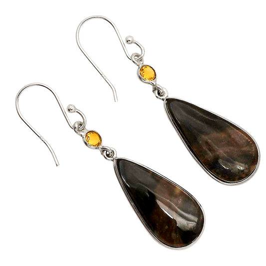 Palm Root Fossil Agate and Citrine Earrings E-1002 SDE90224