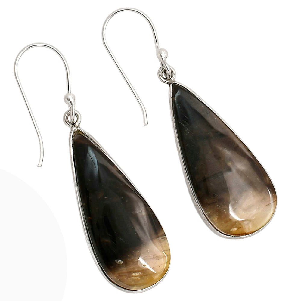 Root Plume Agate Earrings E-1001 SDE90464