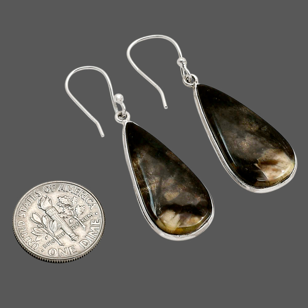 Root Plume Agate Earrings E-1001 SDE90470
