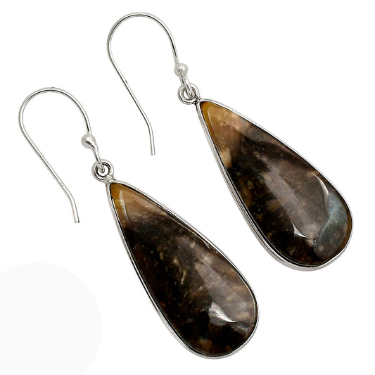 Root Plume Agate Earrings E-1001 SDE90474