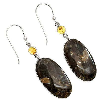 Bat Cave Jasper and Citrine Earrings E-1002 SDE90591