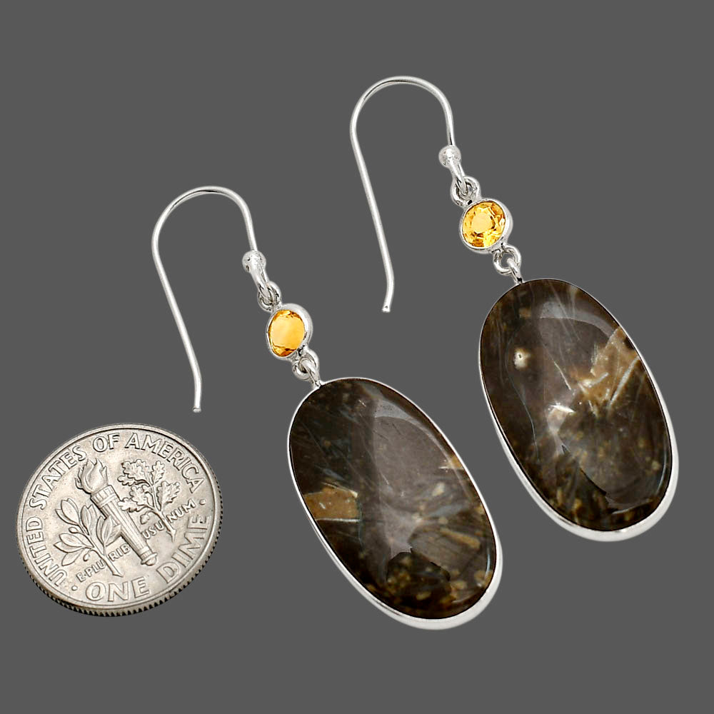 Bat Cave Jasper and Citrine Earrings E-1002 SDE90591