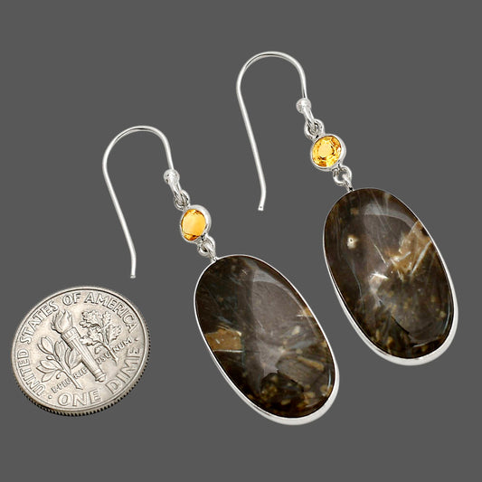 Bat Cave Jasper and Citrine Earrings E-1002 SDE90591