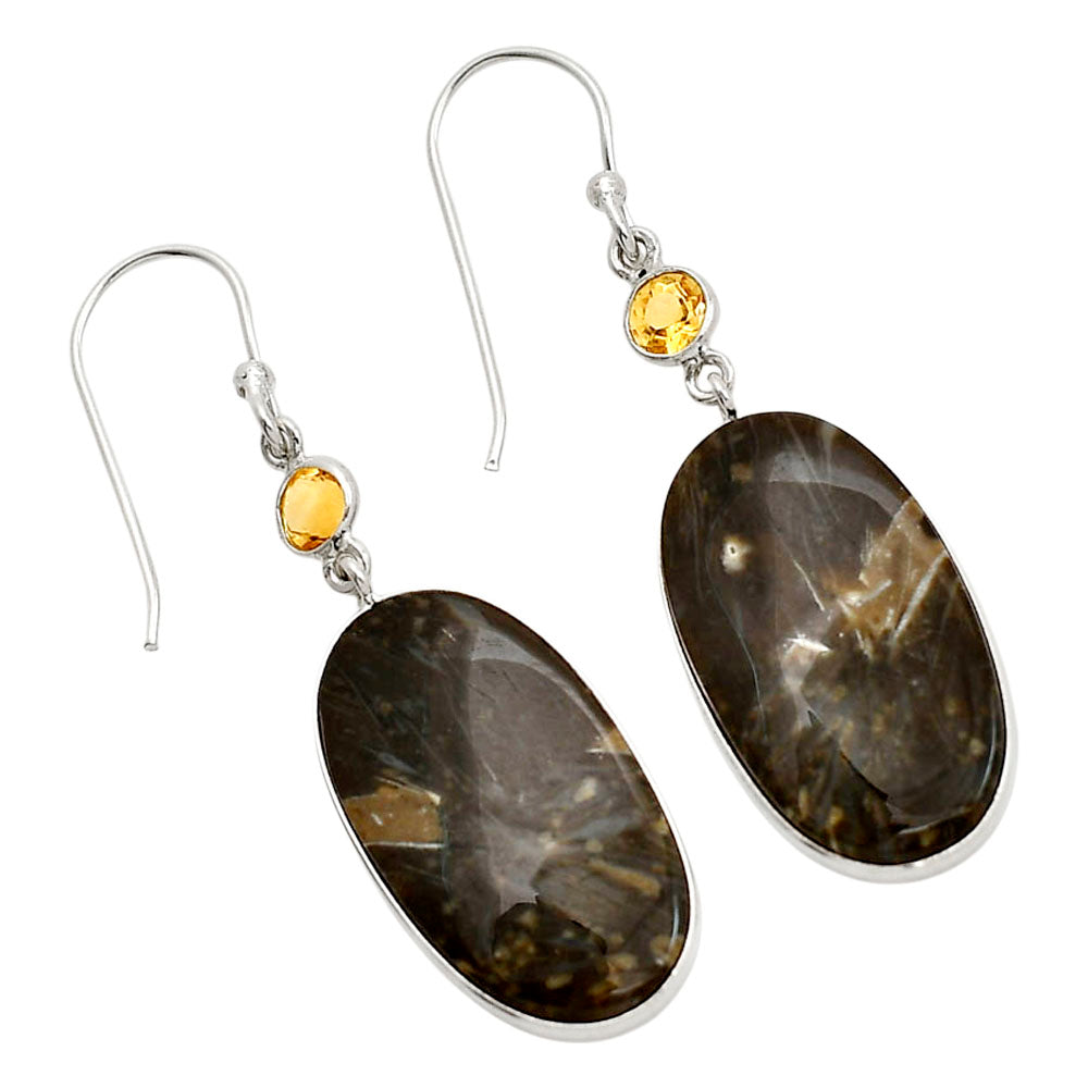 Bat Cave Jasper and Citrine Earrings E-1002 SDE90591