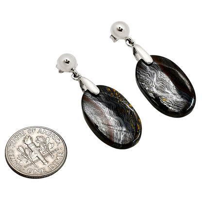 Iron Tiger Eye Earrings E-1199 SDE90661