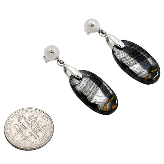 Iron Tiger Eye Earrings E-1199 SDE90685