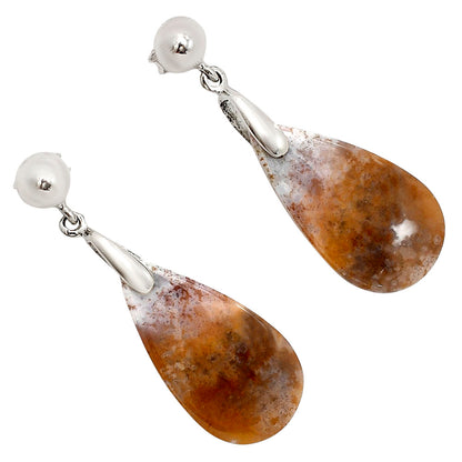 Rosetta Picture Jasper Earrings E-1199 SDE90701
