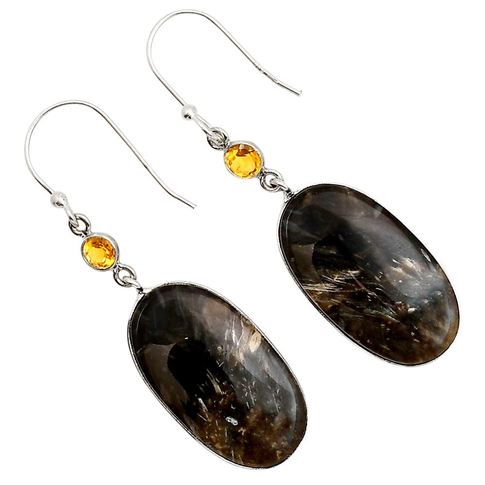 Bat Cave Jasper and Citrine Earrings E-1002 SDE90923