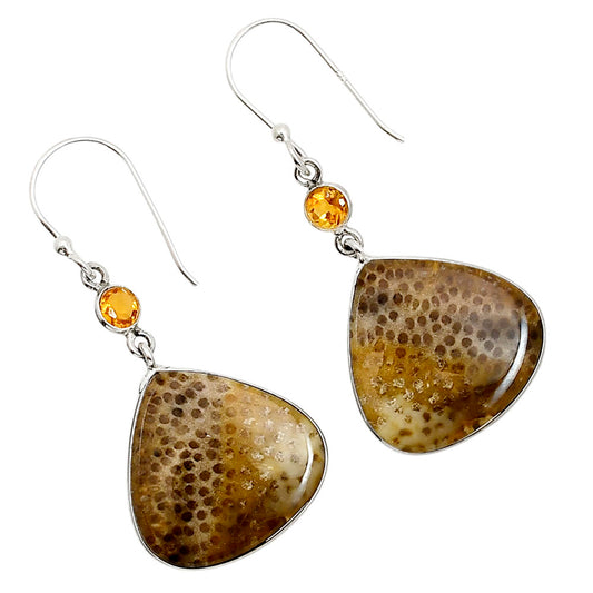 Root Plume Agate and Citrine Earrings E-1002 SDE90944