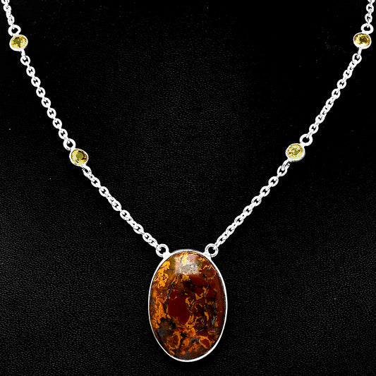 Rare Cady Mountain Agate & Citrine Necklace N-1012 SDN1915