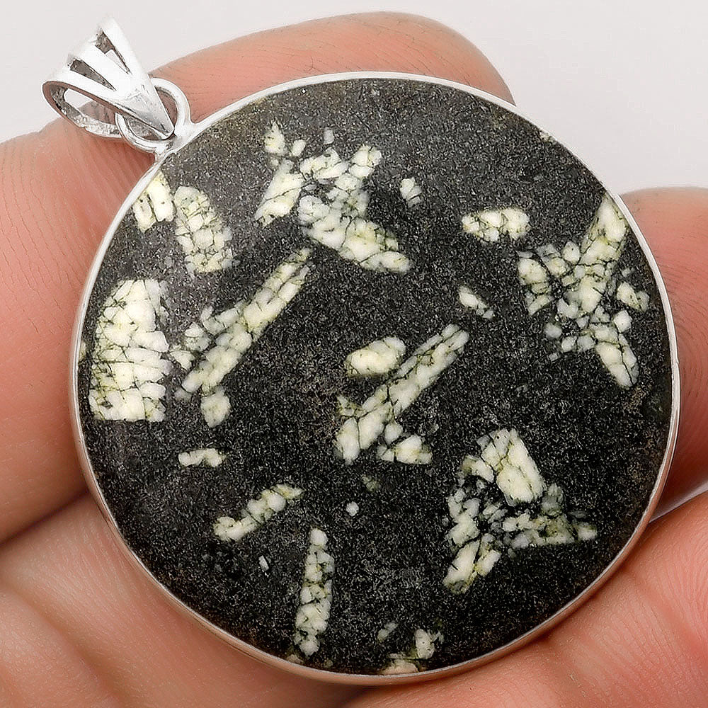 Natural Hornblende Pendant P-1001 SDP106497