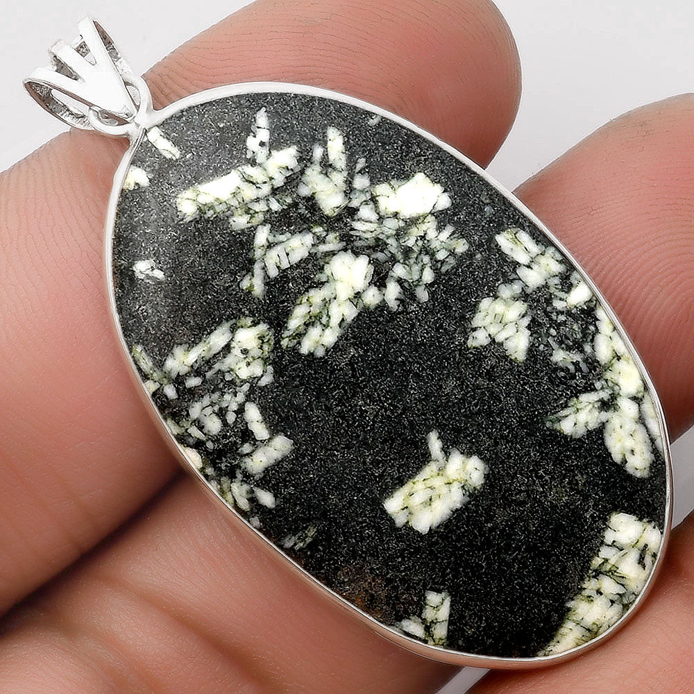 Natural Hornblende Pendant P-1001 SDP106583