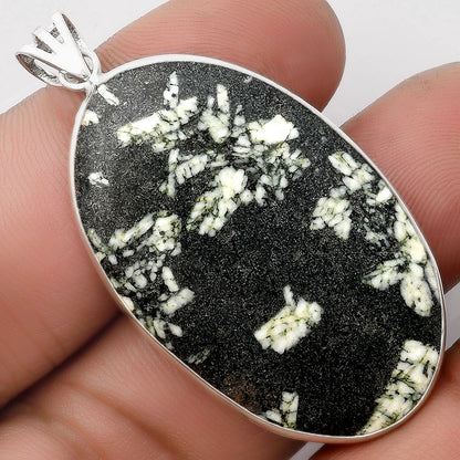 Natural Hornblende Pendant P-1001 SDP106583
