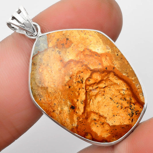 Natural Picture Jasper Pendant P-1001 SDP109294