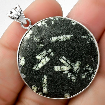 Natural Hornblende Pendant P-1001 SDP109460