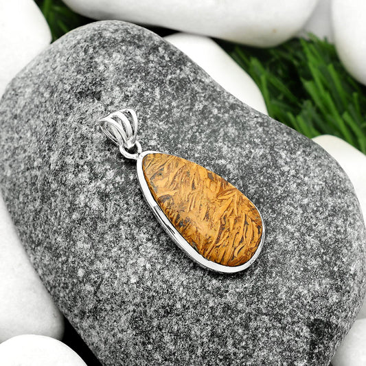 Natural Coquina Fossil Jasper - India Pendant P-1002 SDP111105