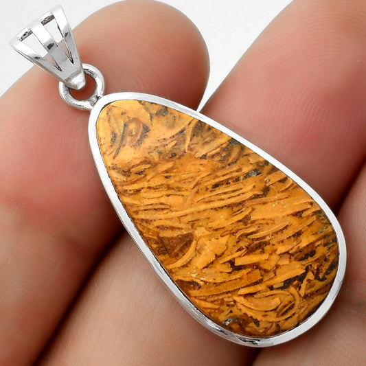 Natural Coquina Fossil Jasper - India Pendant P-1002 SDP111123
