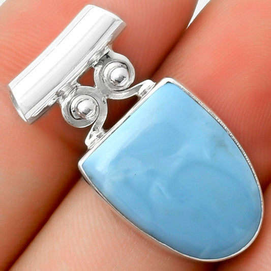 Natural Owyhee Opal Pendant P-1597 SDP117533