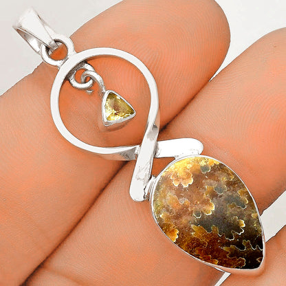Sutured Ammonite Madagascar & Citrine Pendant P-1048 SDP121856