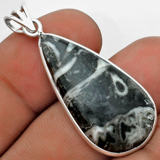 Natural Mexican Cabbing Fossil Pendant P-1001 SDP122735