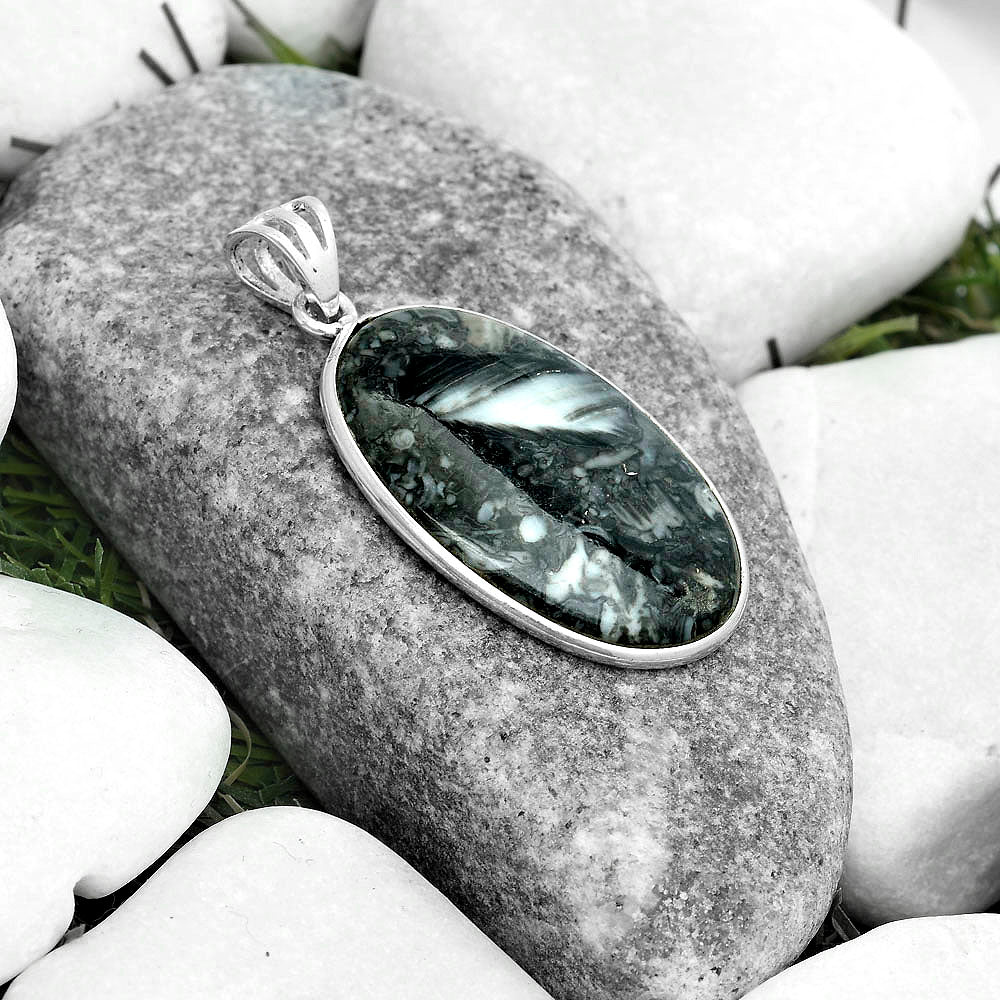 Natural Mexican Cabbing Fossil Pendant P-1001 SDP122838