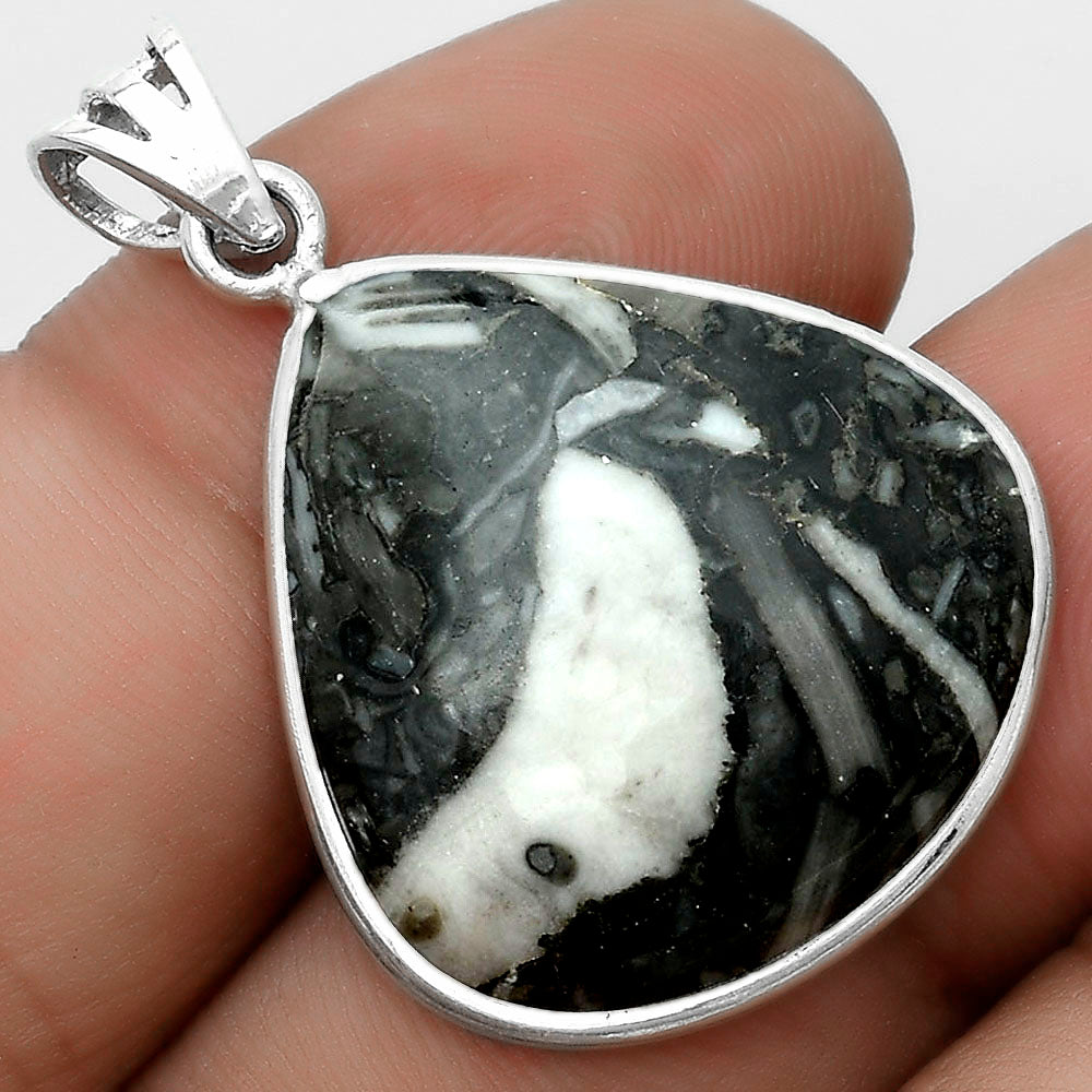 Natural Mexican Cabbing Fossil Pendant P-1001 SDP123083