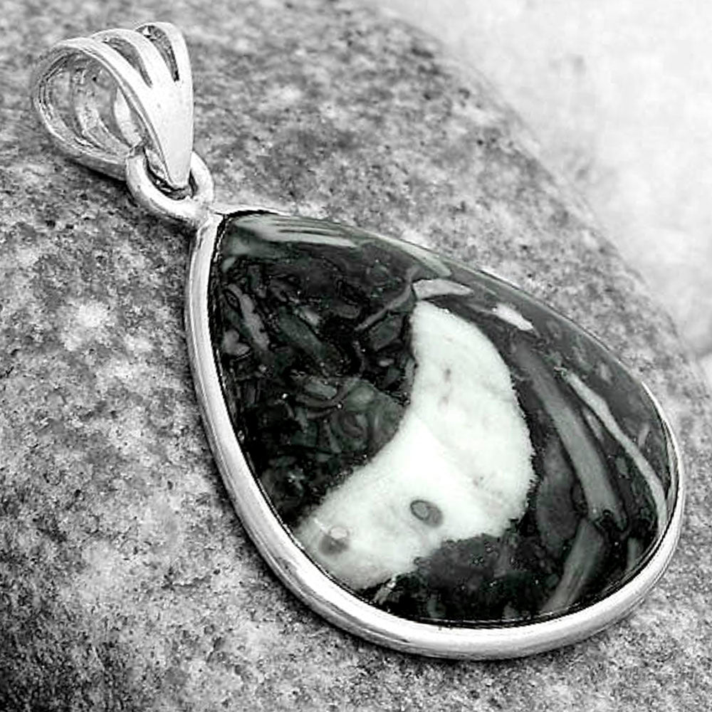 Natural Mexican Cabbing Fossil Pendant P-1001 SDP123083