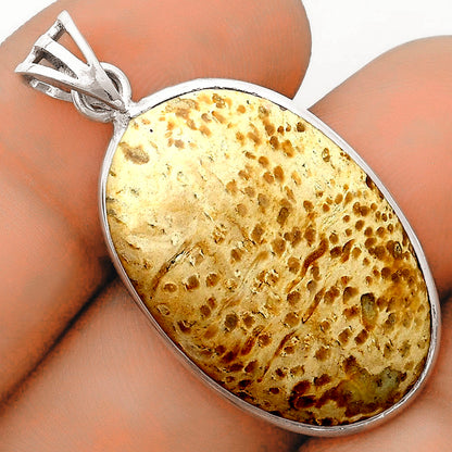 Natural Palm Root Fossil Agate Pendant P-1001 SDP123110