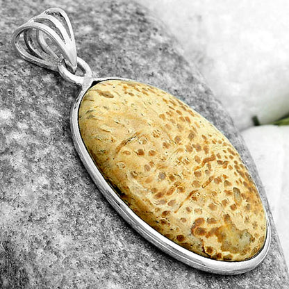Natural Palm Root Fossil Agate Pendant P-1001 SDP123110