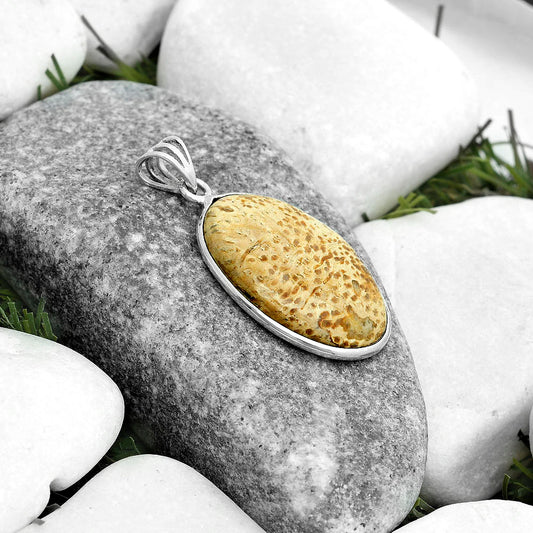 Natural Palm Root Fossil Agate Pendant P-1001 SDP123110