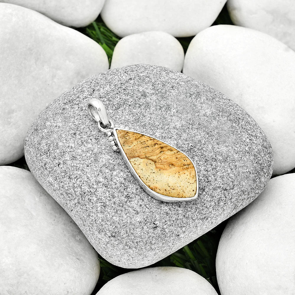 Natural Picture Jasper Pendant P-1084 SDP125417