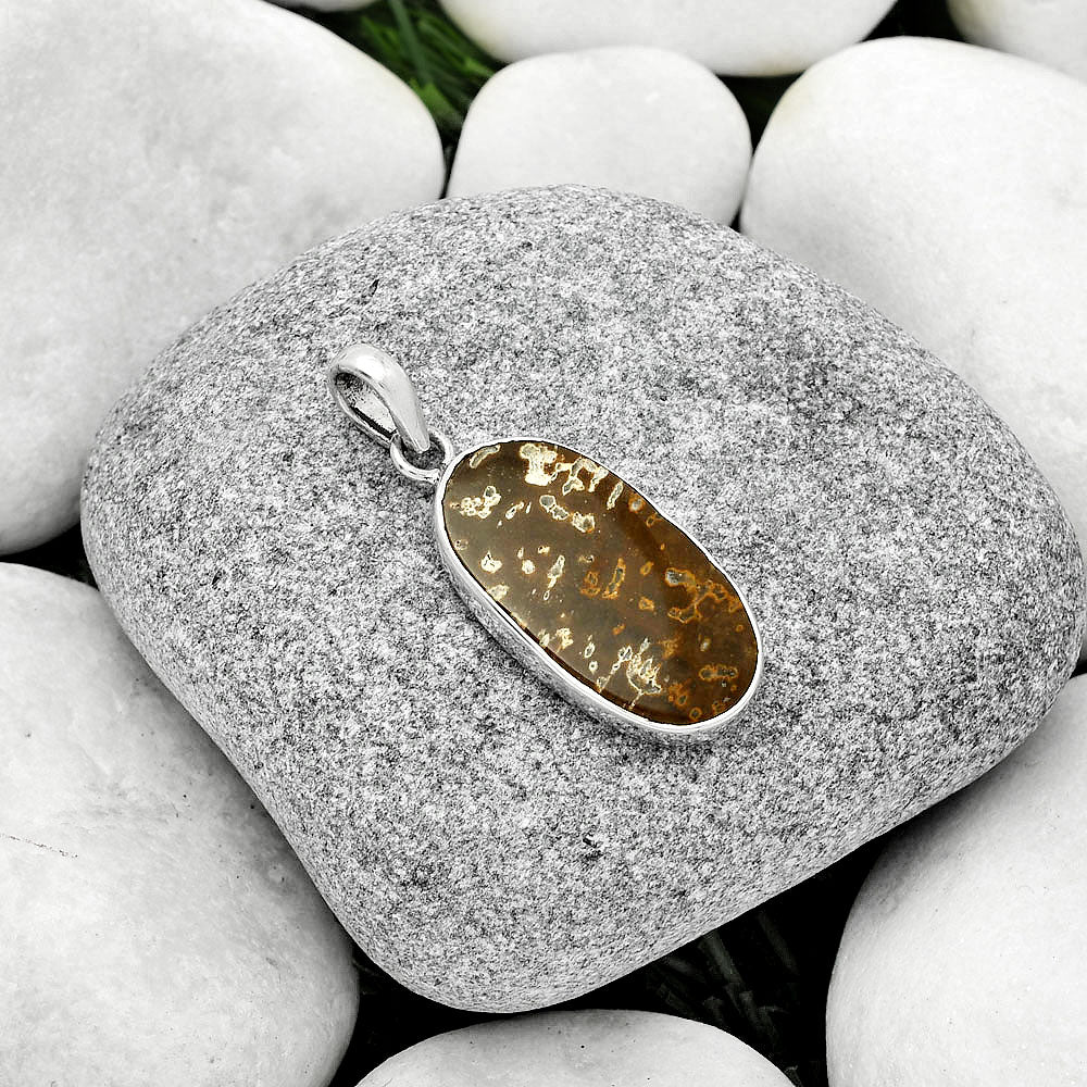 Natural Palm Root Fossil Agate Pendant P-1001 SDP125421