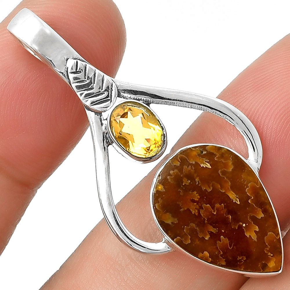 Sutured Ammonite Madagascar & Citrine Pendant P-1166 SDP127777