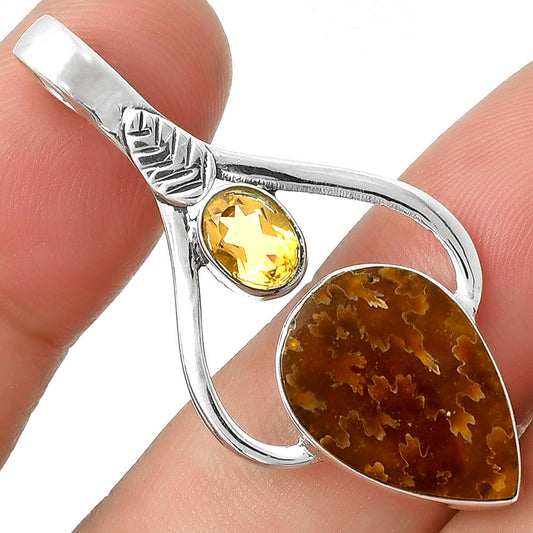 Sutured Ammonite Madagascar & Citrine Pendant P-1166 SDP127777