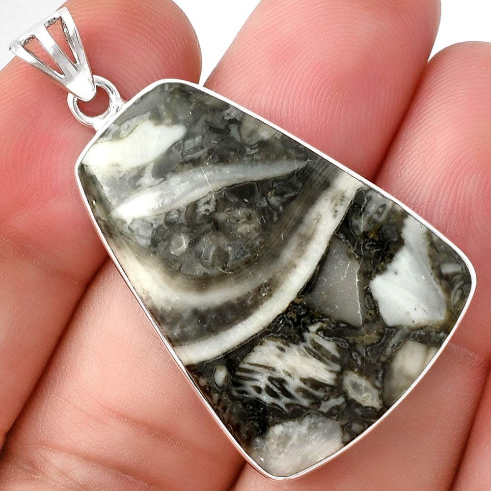 Natural Mexican Cabbing Fossil Pendant P-1001 SDP128268